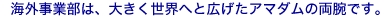 �C�O���ƕ��́A�傫�����E�ւƍL�����A�}�_���̗��r�ł��B